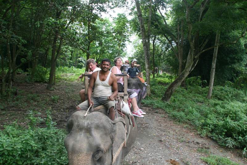 India & Nepal 2011 - 0542